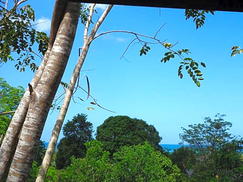 Khaolak Hillside Villa