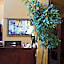 Hotel Damian Park Hotel Delle Magnolie