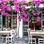 Flamingo Hotel & Spa - Pet Friendly