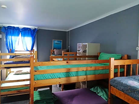 Bed in 10-Bed Mixed Dormitory Room
