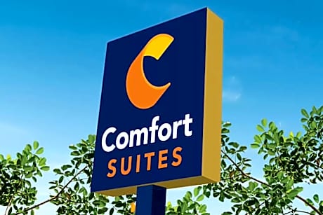 Comfort Suites Central Valley - Woodbury