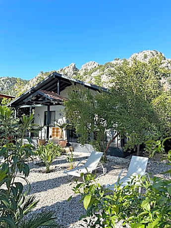 Villa with Garden View