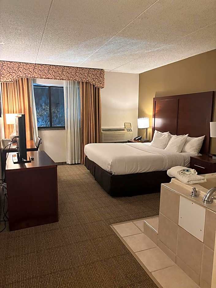 Comfort Inn  Farmington Hills - Detroit Northwest