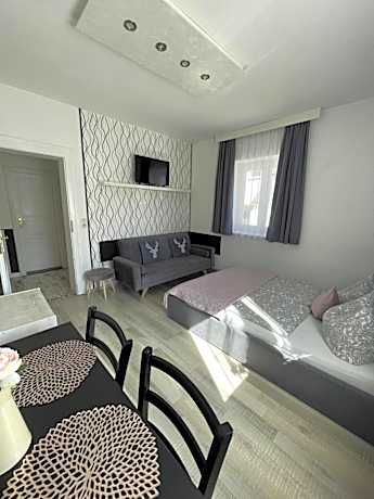 Two-Bedroom Comfort Family Room (with small kitchenette)