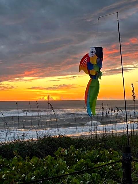 Oceanfront Sea Scape Motel