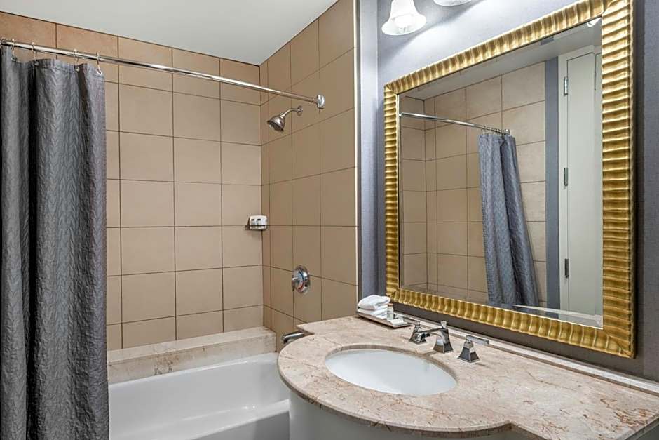 Renaissance Dallas North Hotel