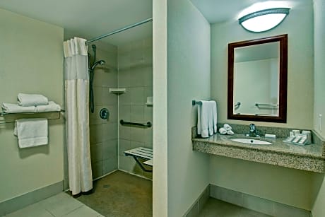 1 King Bed Accessible Room