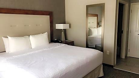 1 King Bed Studio Suite Nonsmoking