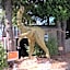 All Seasons Holiday Park