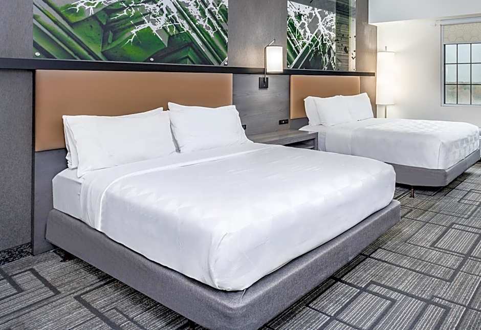 Holiday Inn Lafayette-City Centre By IHG
