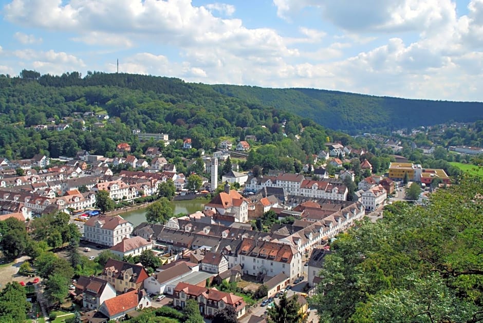 Historisches Hotel zum Schwan