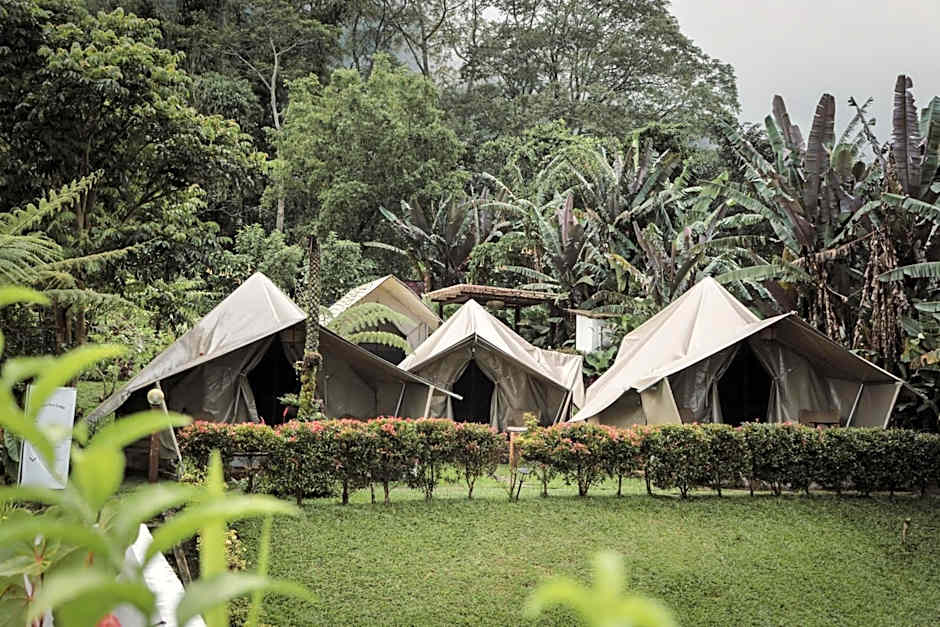 Alamu Eco Lodge