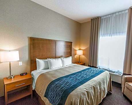 1 King Bed, Suite, Nonsmoking