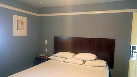 Single Room - Disability Access