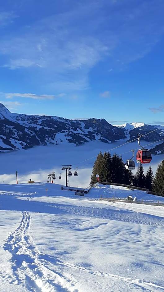 Landhotel Steindlwirt