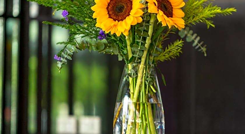 Sovereign Group Hotel @ Pratunam Bangkok