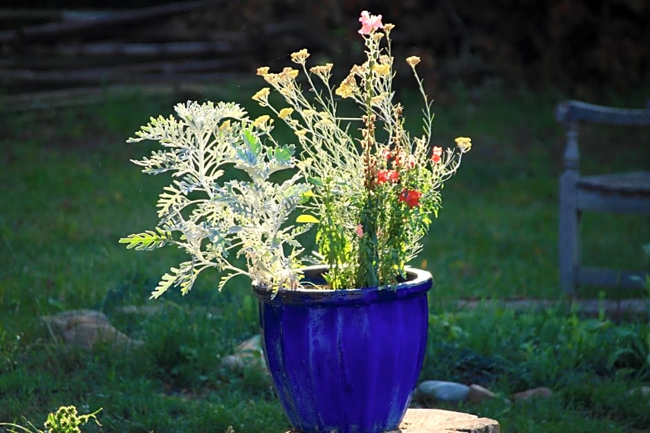 souslens, Castaignos-Souslens 40