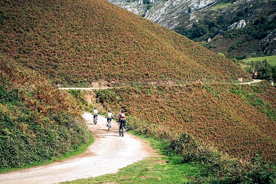 El Gato Gordo - bike & surf house