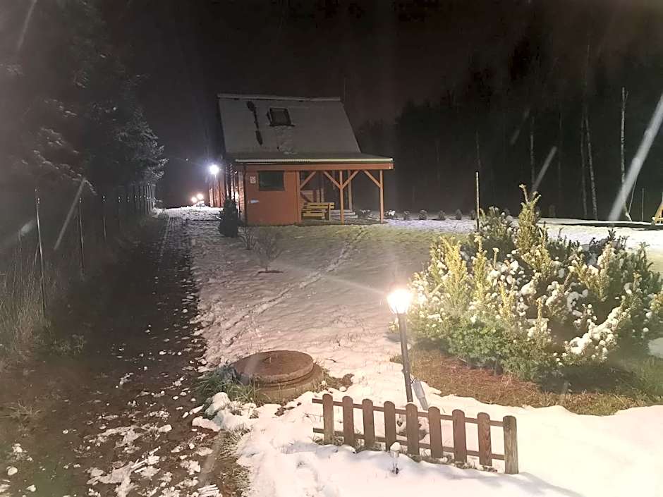 Domki Borowiackie nad brzegiem jeziora