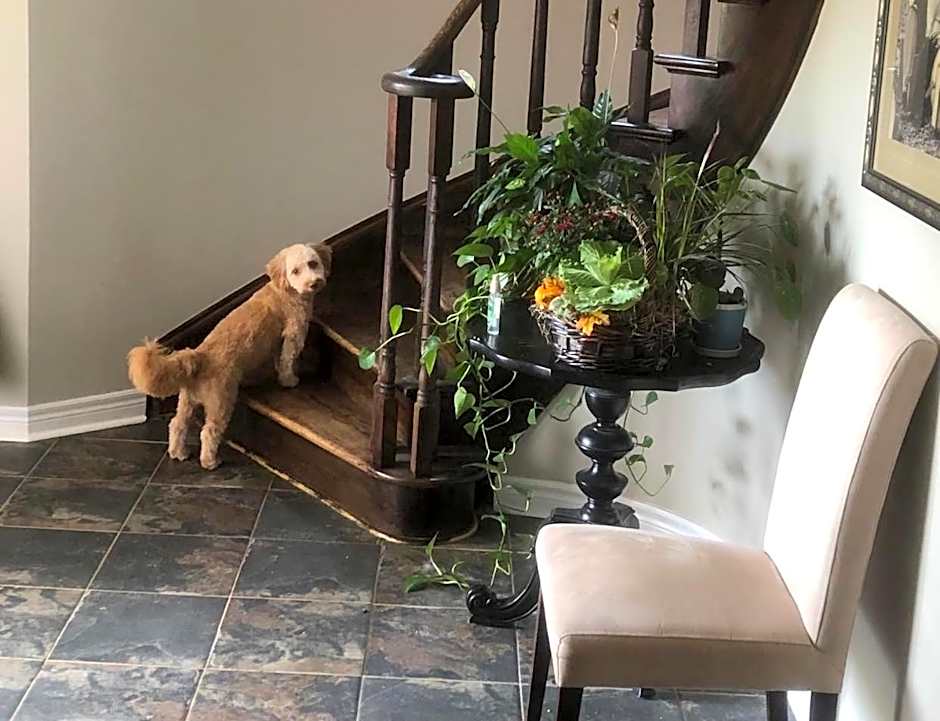 Willow Pond Satellite B&B