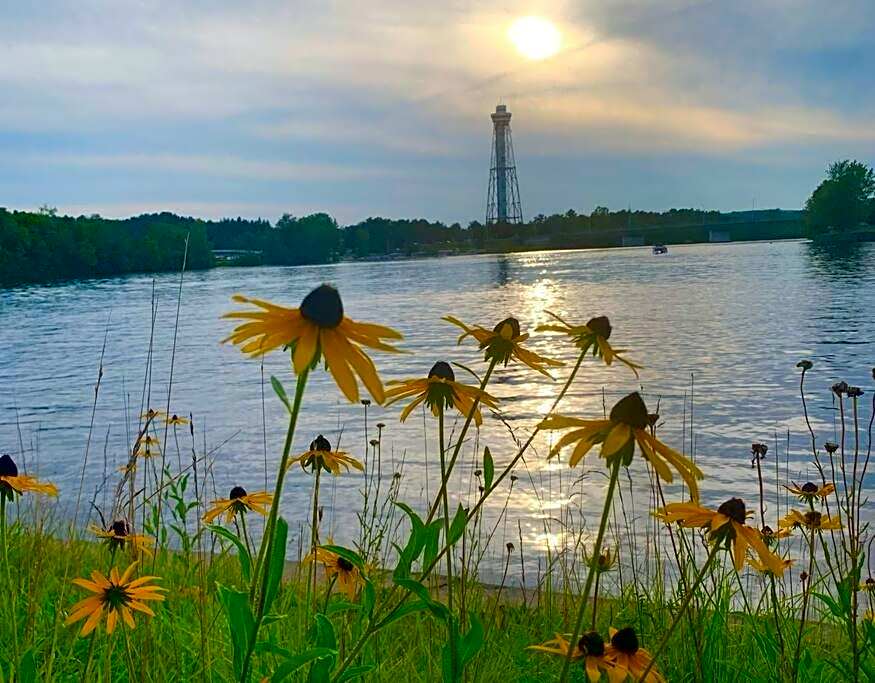 Parc de l'Île Melville 2 - Maison flottante