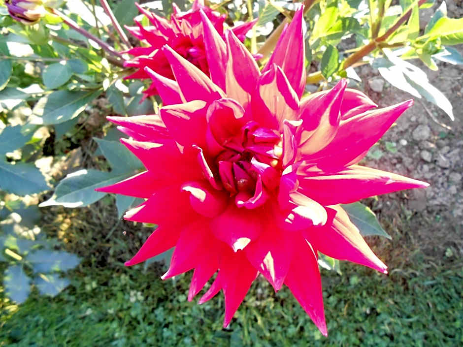 La Ferme des 3 Suissesses