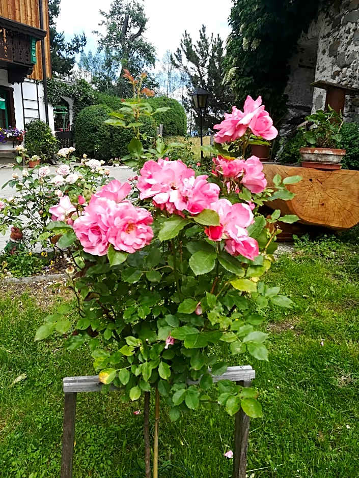 Mühlnerhof Familie Gruber