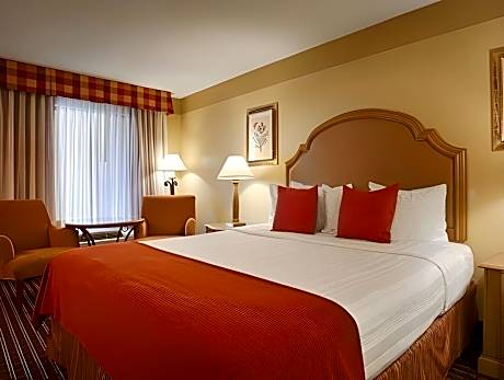 1 Bedroom King Suite