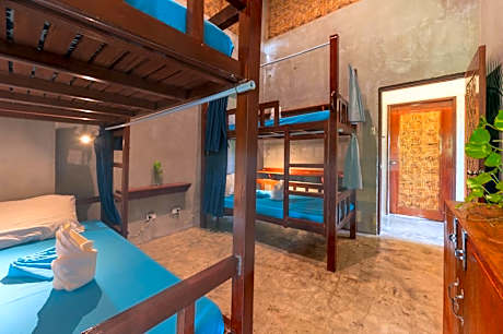 Bunk Bed in Mixed Dormitory Room