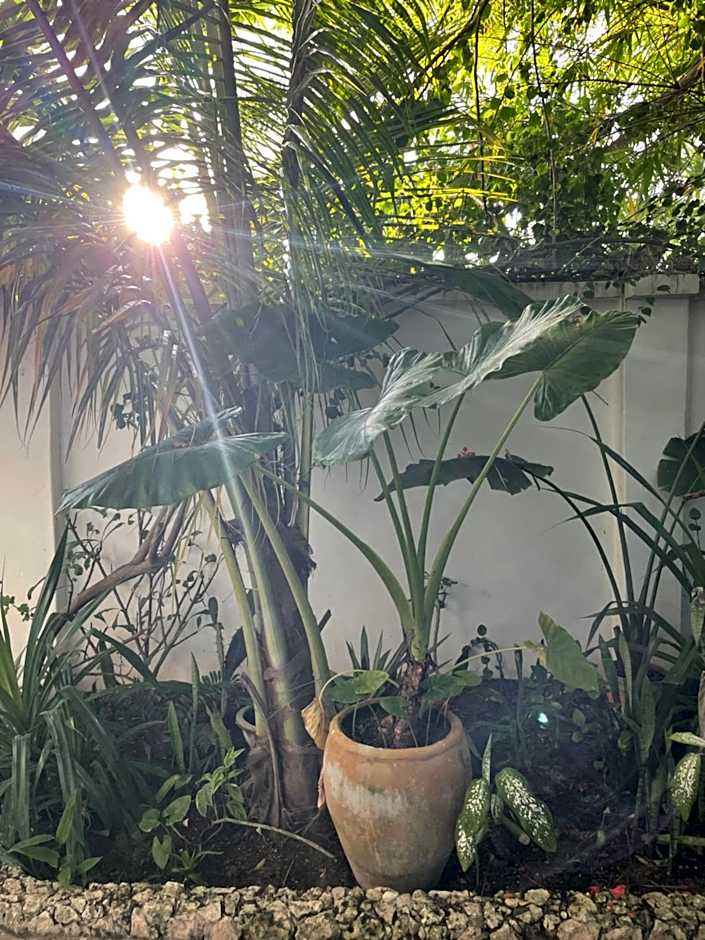 Nakupenda paje villa