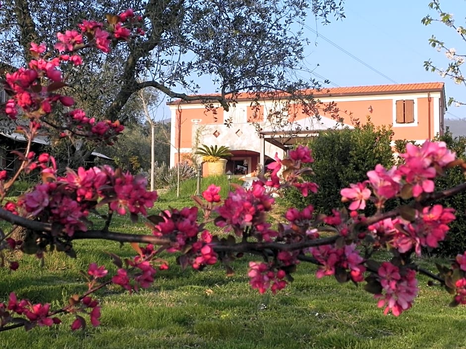 Il Giardino delle Esperidi