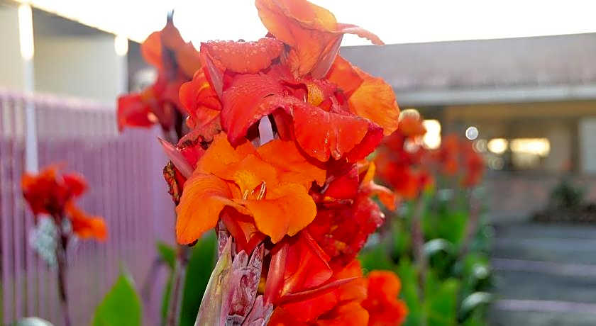 Nabalu Kundasang Lodge