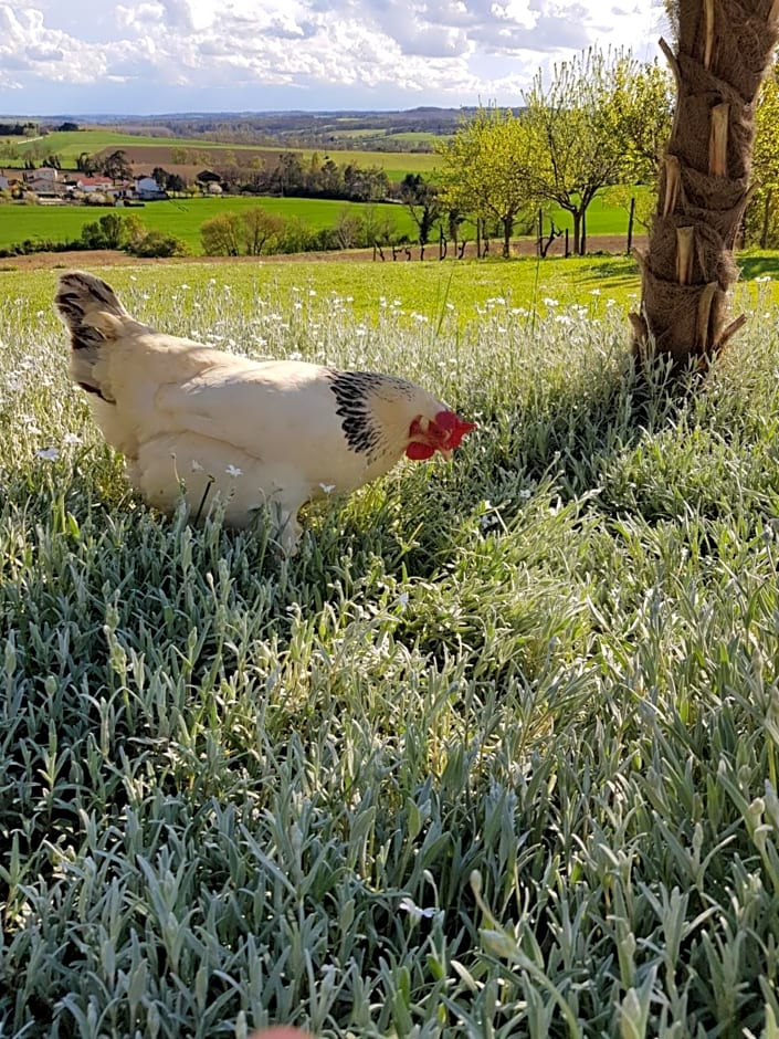 Propriété Le Monneton