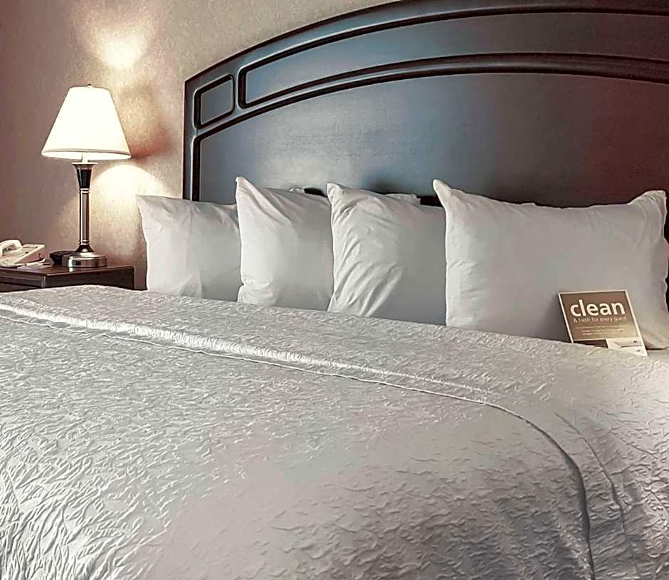 Hampton Inn By Hilton & Suites Edmonton International Airport