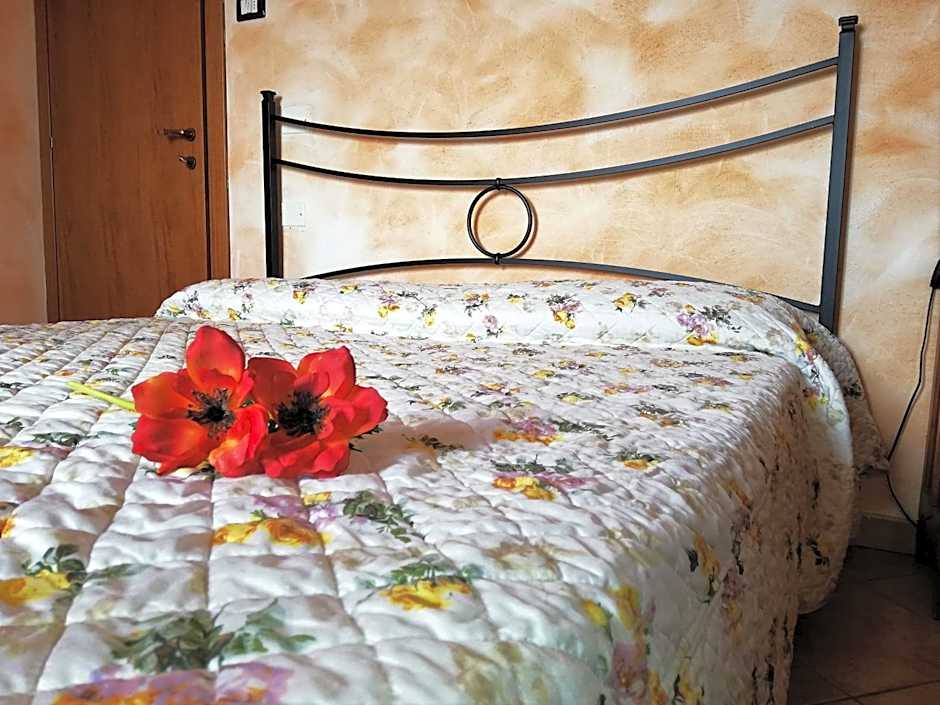 B&B Pivi