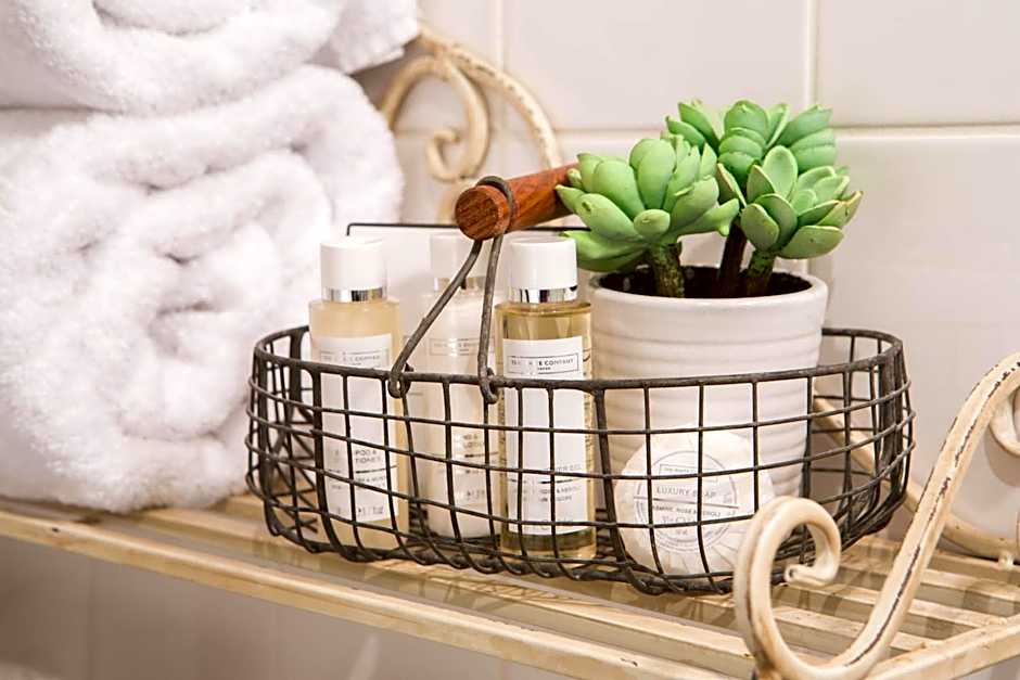 The Curious Pig in the Parlour