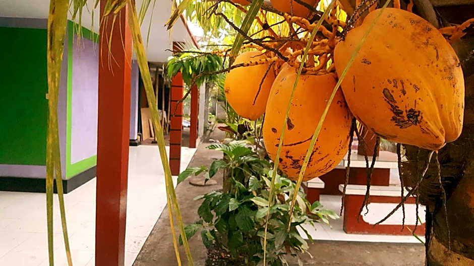 HOTEL SEGARA MANDALA