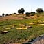 Tenuta i musi lunghi