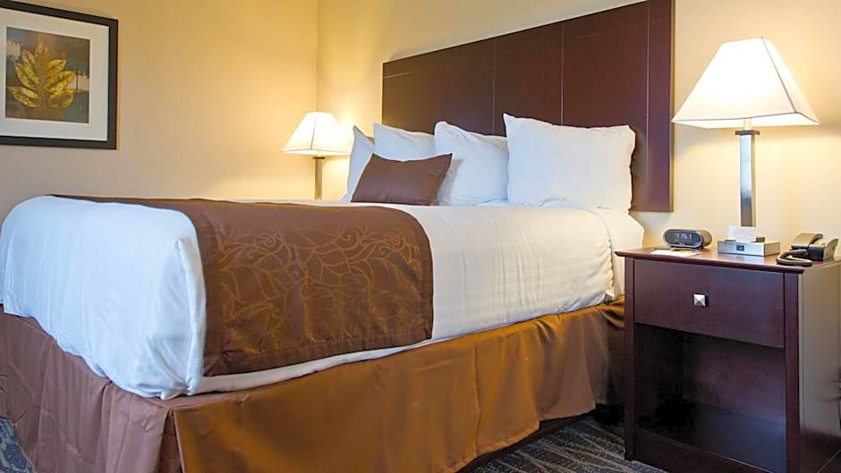 Cobblestone Inn & Suites - Boone