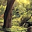 Huka Lodge, Beckons