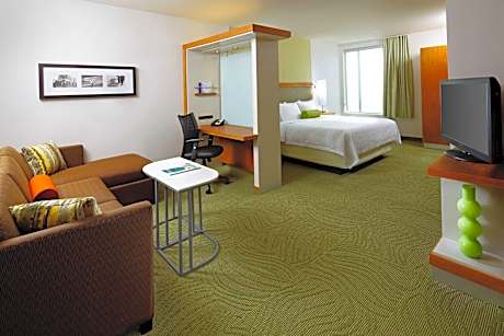 Studio, 1 King Bed with Sofa bed (1 King Bed and 1 Double Sofa Bed)