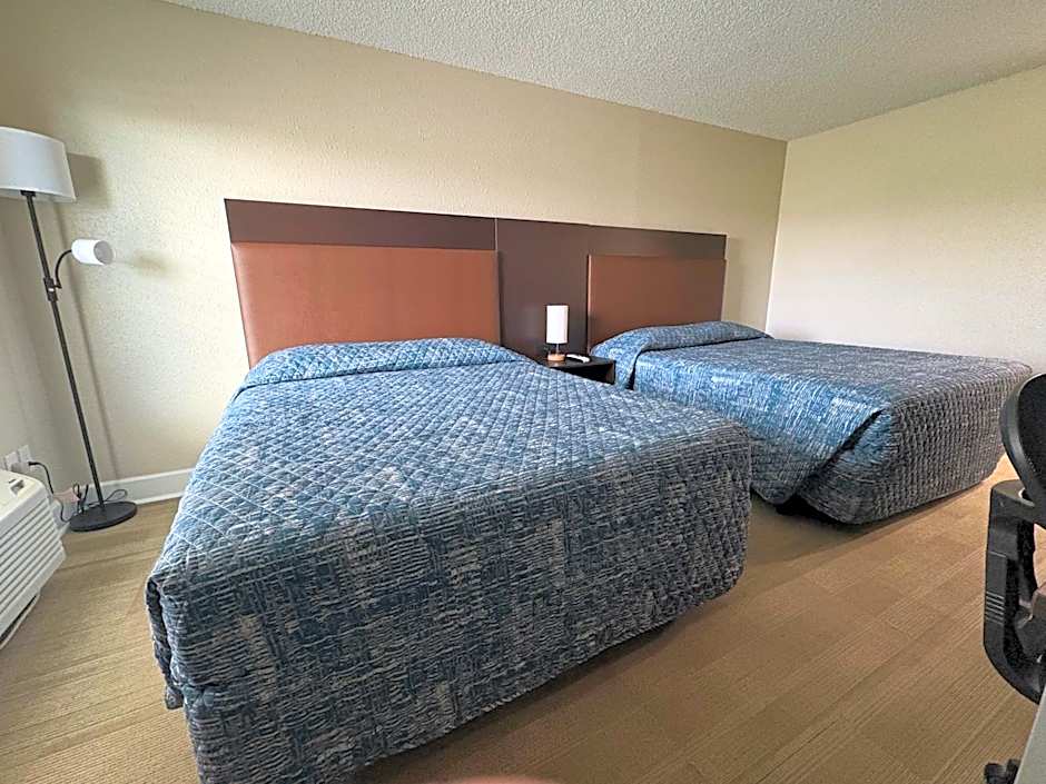 Gators Inn on the Bayou