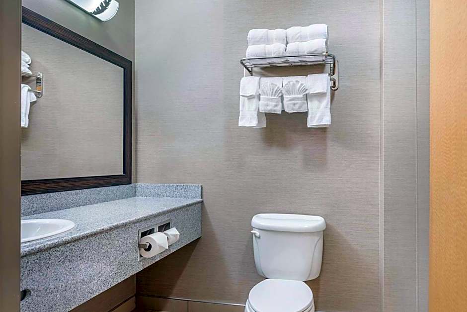 Comfort Suites Boise West Meridian