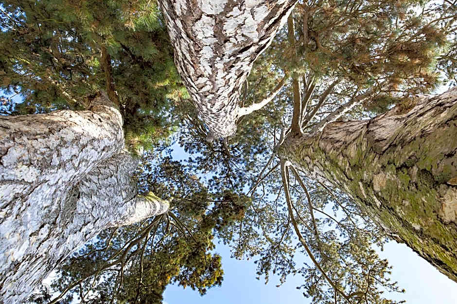 Kurhaushotel Bad Salzhausen