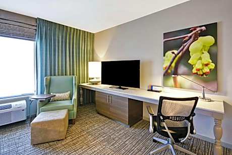 Premium King Room