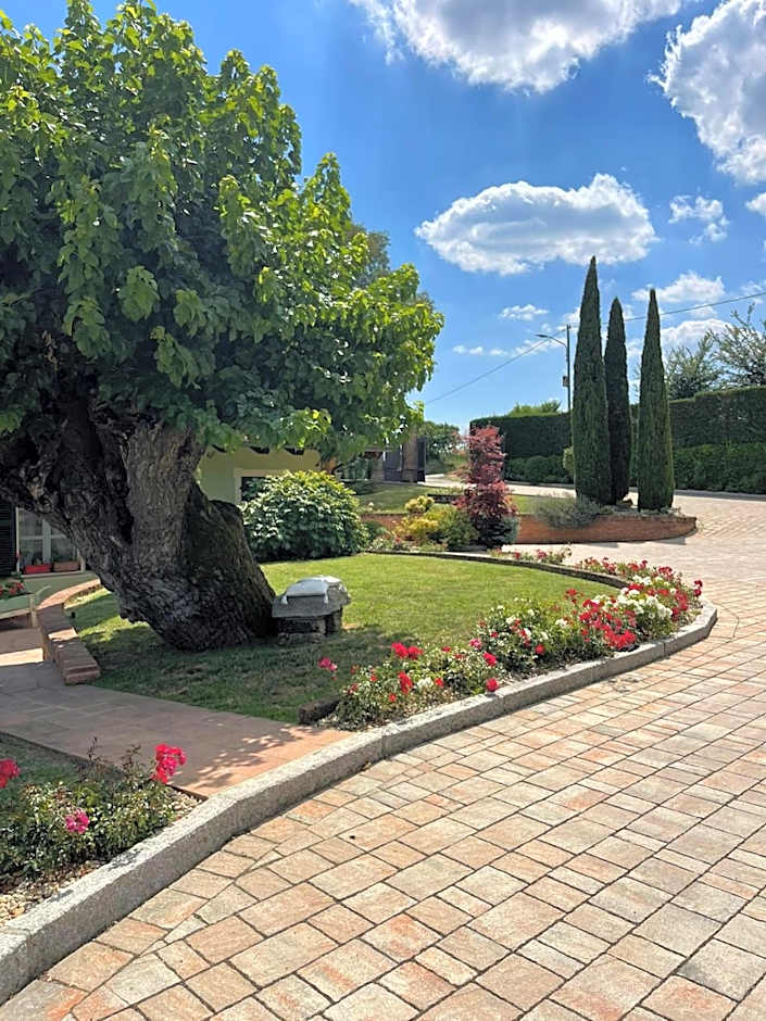 B&B La Bianchina