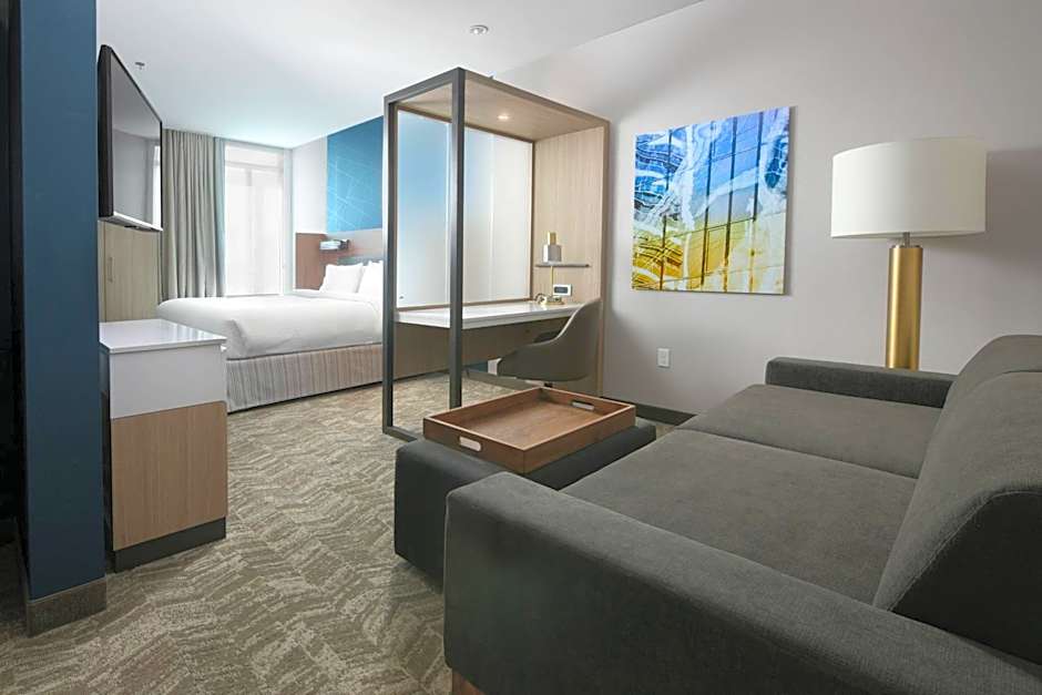 Photo 1 of 8 of 1 King Bed with Trundle Bed Suite