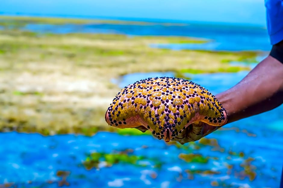 Mombasa Beach Hotel