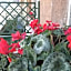 B&B La Perla di Roma