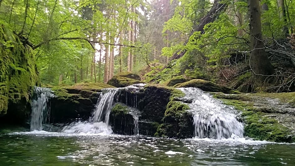 Koralowa Ścieżka